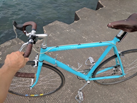 Cannondale SR600