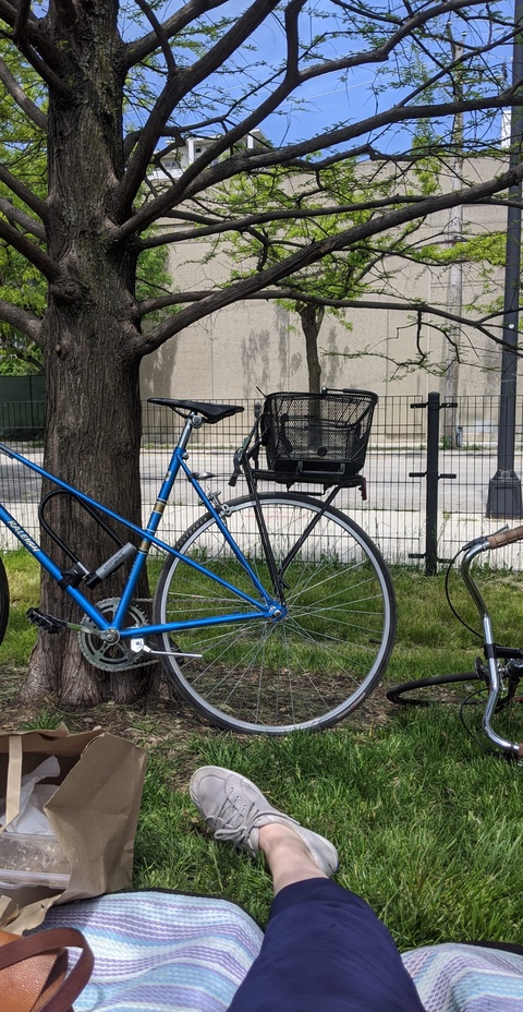Raleigh Blue Single Speed (Vintage, restored)