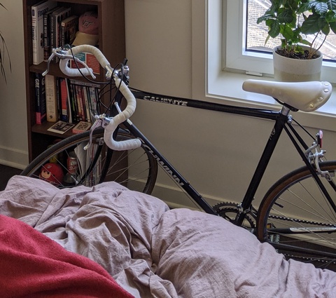 Schwinn Caliente