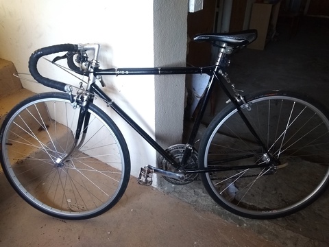 Fuji s12-s