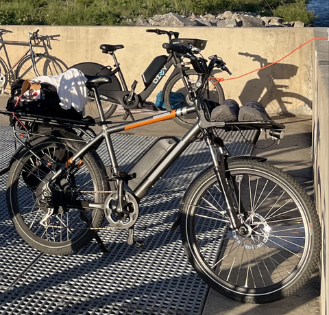 Rad Power Radcity Electric Commuter