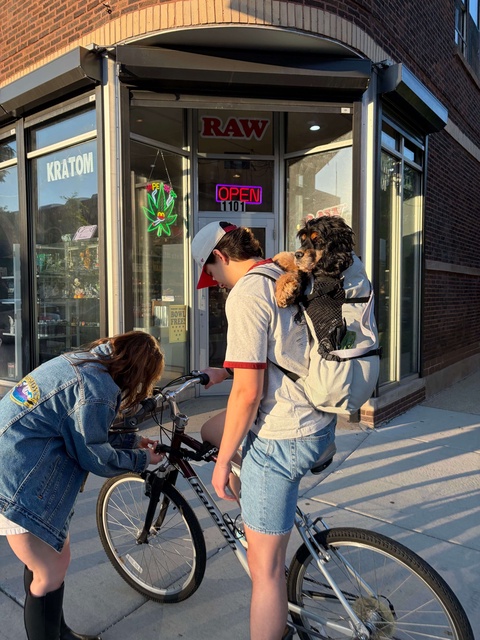 Raleigh Bike