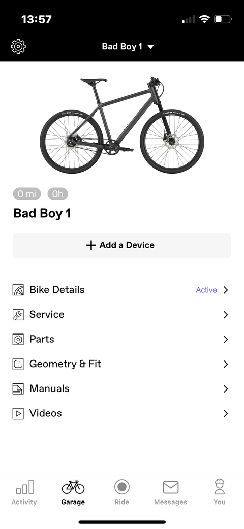 Cannondale Bad Boy 1 belt drive