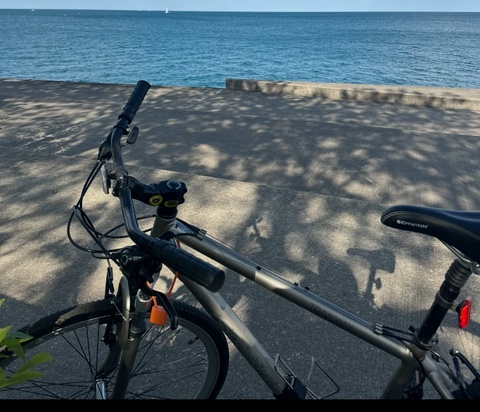 Schwinn