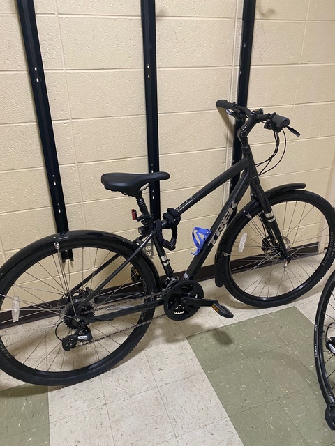 Trek Verve 2 Disc 2021