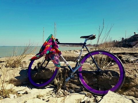 Bianchi / Coaster Break / Single Speed / Road Bike