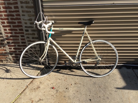 Fuji Flair