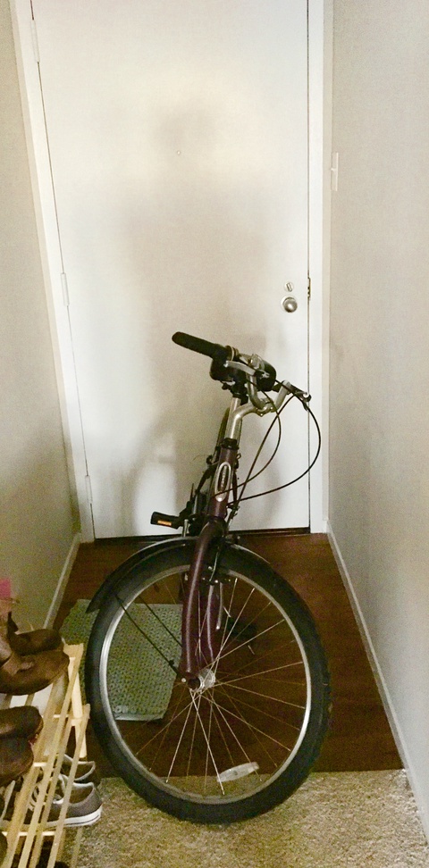 Schwinn
