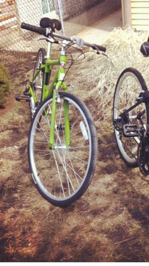 Schwinn 