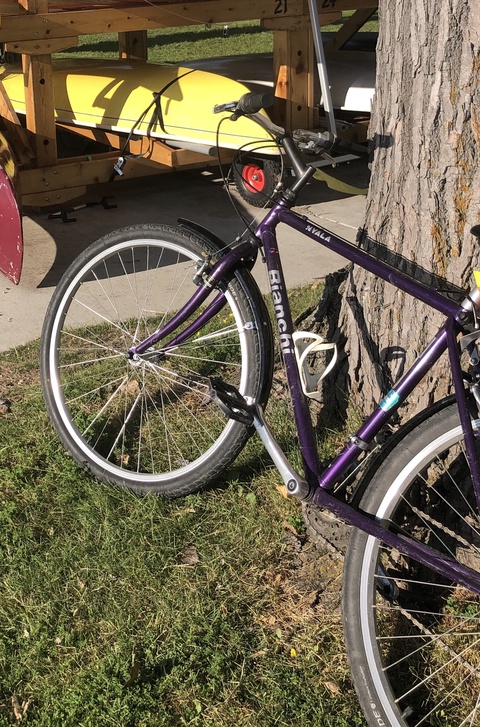 Bianchi Nyla frame 
