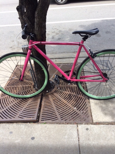 Critical Fixed-Gear/Single-Speed