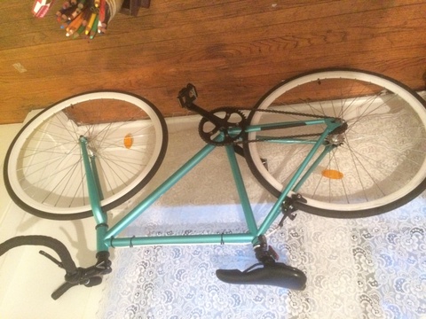 Fixie/single speed