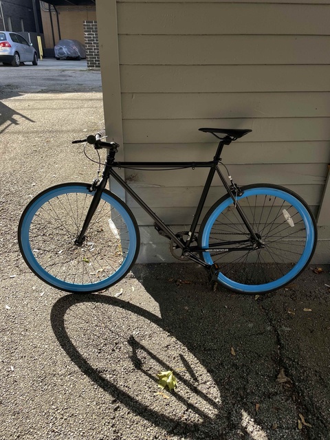 Golden Cycles Fixed/Single Speef