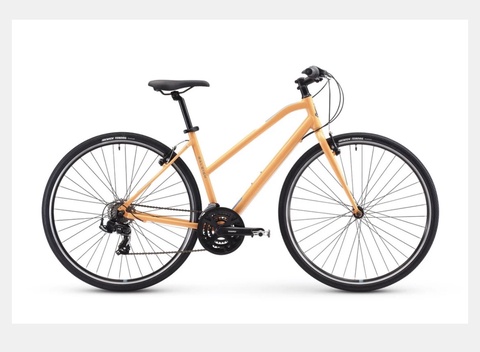 Raleigh Alysa 1 Fitness Bike