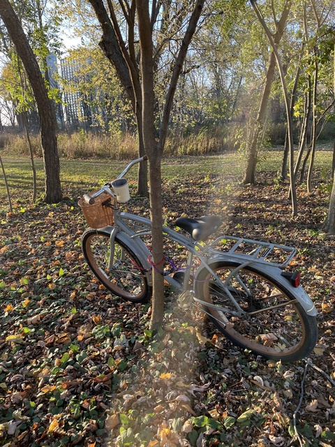 Huffy Cruiser Brown and Gray 26 inch