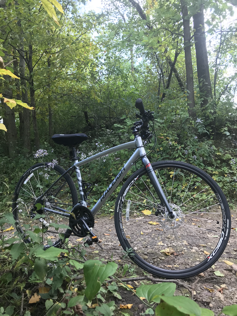 Raleigh Cadent 2