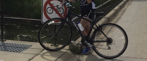 Trek FX2