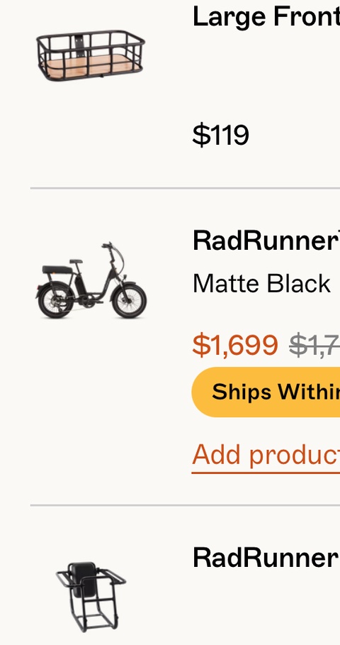 Rad Runner Max Electric