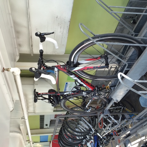 2013 fuji altamira
