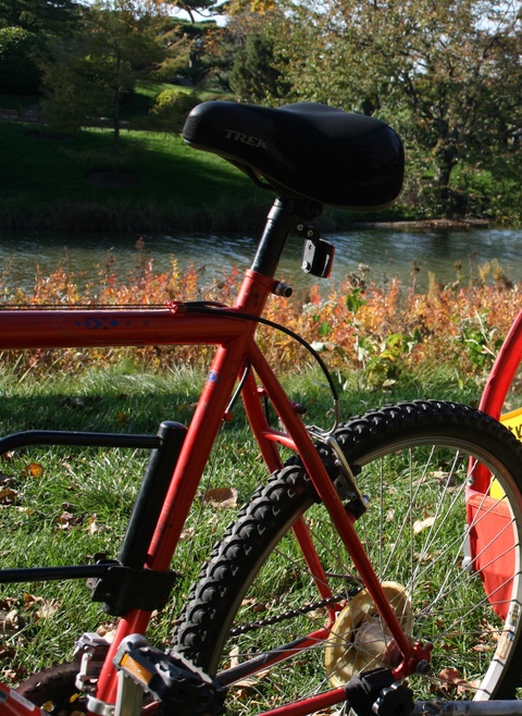 Mongoose Men's Mountain Bike