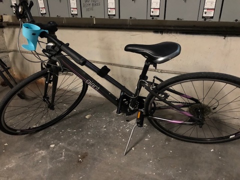 Liv Giant Women's Bike