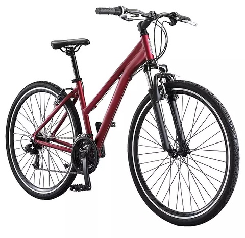 Schwinn GTX 3