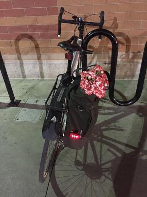 Specialized Dolce