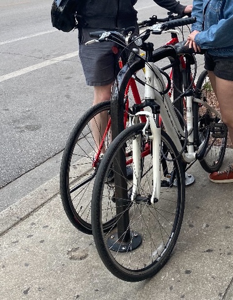 Trek 28" Cruise Bike