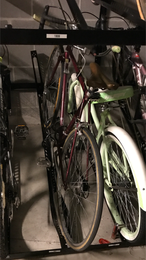 Schwinn