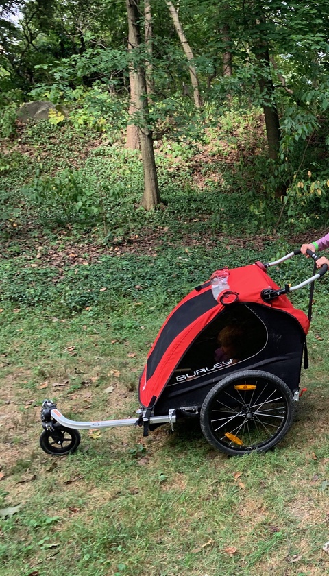 Burley Honey Bee bike trailer