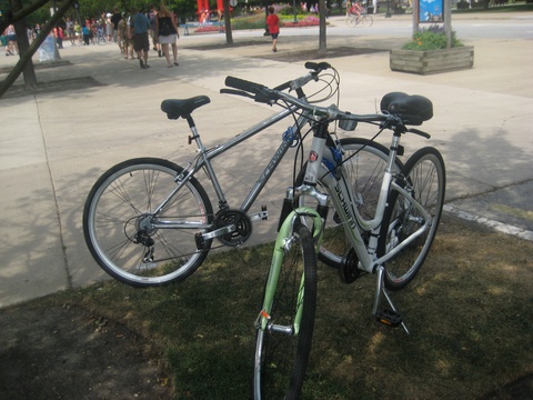 Schwinn 