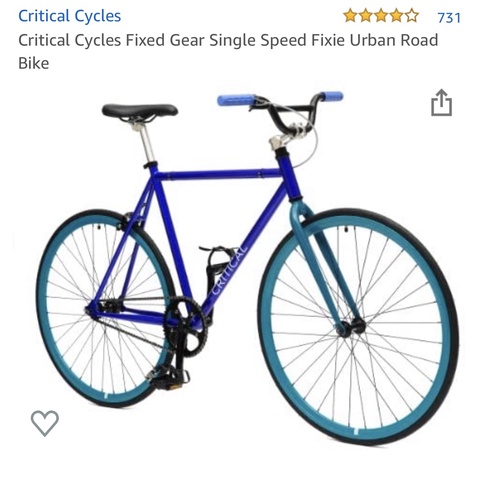 Critical Cycle Fixed Gear