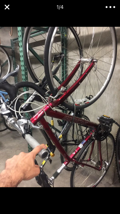 Vita women specialized 