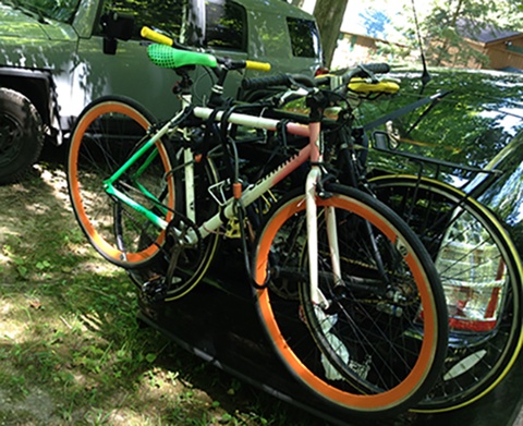 schwinn cutter