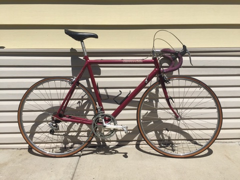 *Recovered* Cannondale SR500