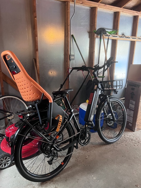 RadCity 5 Plus Step-Thru