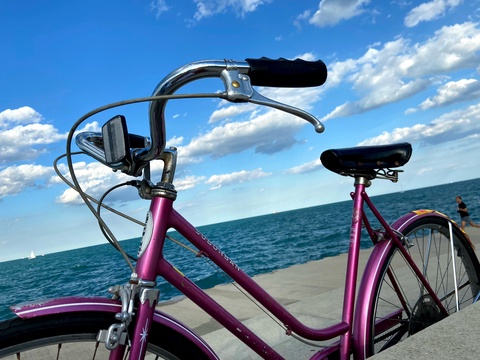 Schwinn suburban