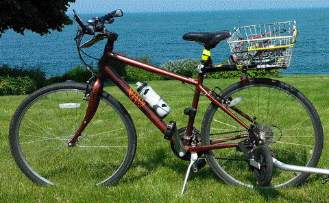 Specialized Globe