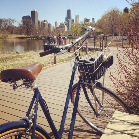 Linus Scout 7 Speed Navy 700c
