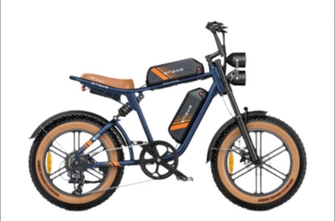 Engwe M20 Electric Bike
