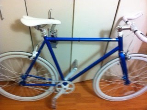 State Bike Tsumani
