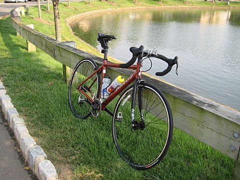 Specialized Langster
