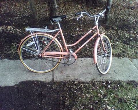 Schwinn 