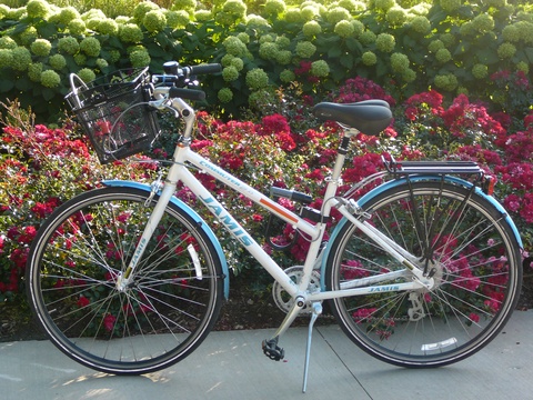 2008 Jamis Commuter 2.0