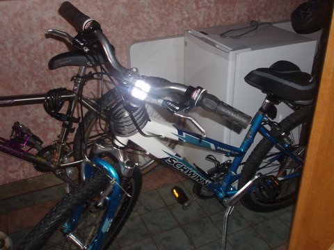 Schwinn Ranger
