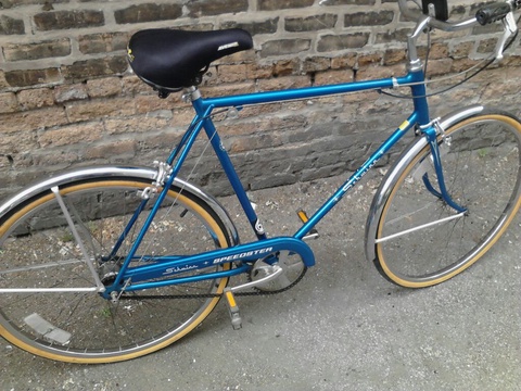 Schwinn Speedster