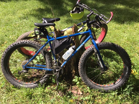 Surly Pugsley