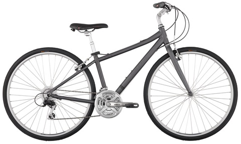 Raleigh Detour 4.5