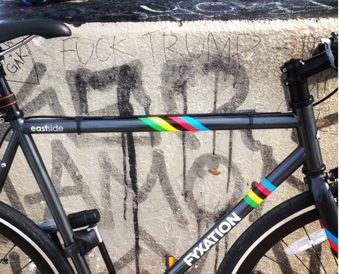 Fyxation Eastside Champion stripes