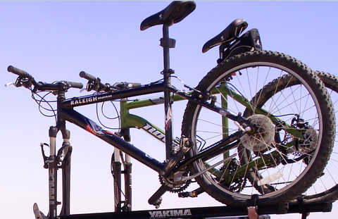2006 Raleigh Mojave 5.5